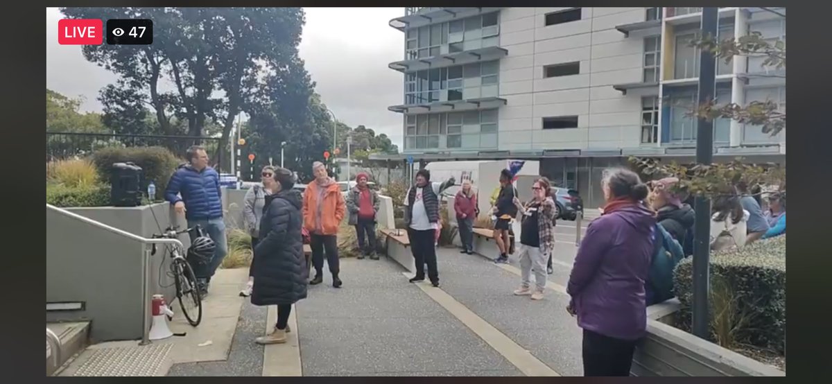 Rngwelly's tweet photo. Ashley Bloomfield doing the 1pm update at the same time as #unitenz freedom cult protesters are outside (it’s “vaccine injured” Day 12/14) of the protest. If they were smarter they would walk around the corner a bit and be in the moh update. But they’re not smart. https://t.co/5CTAAOi7PE