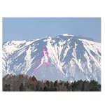 ツイートに含まれる画像