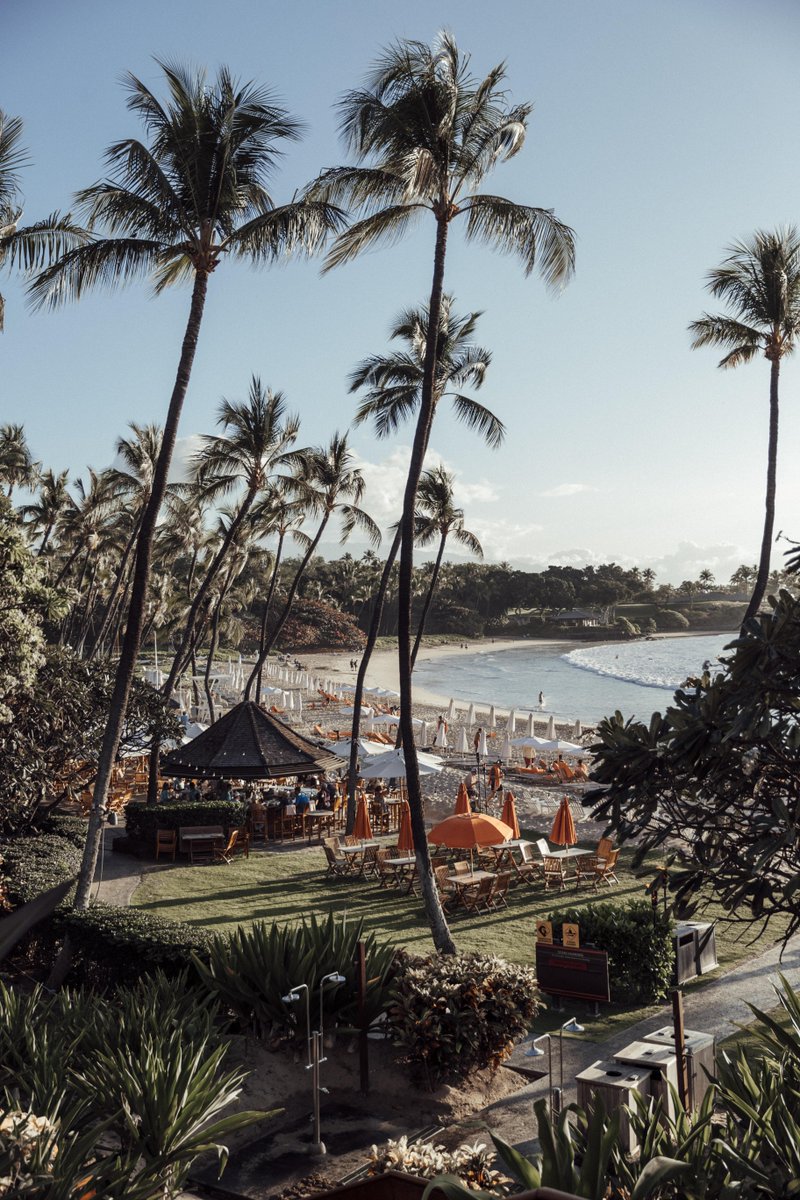 A glimpse into paradise with a hint of orange.