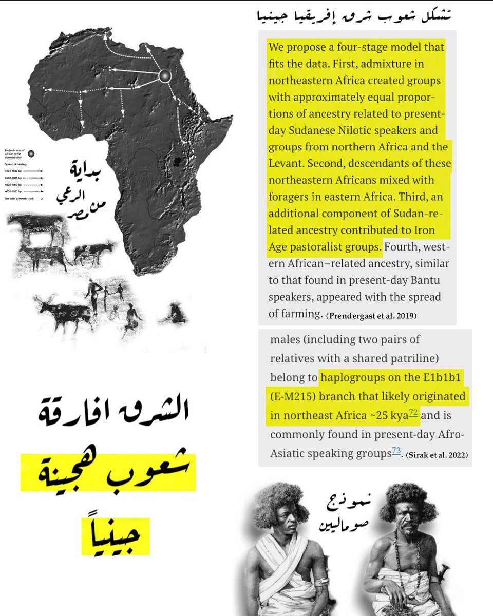 Mohamed Abdelhady - محمد عبدالهادي tweet media
