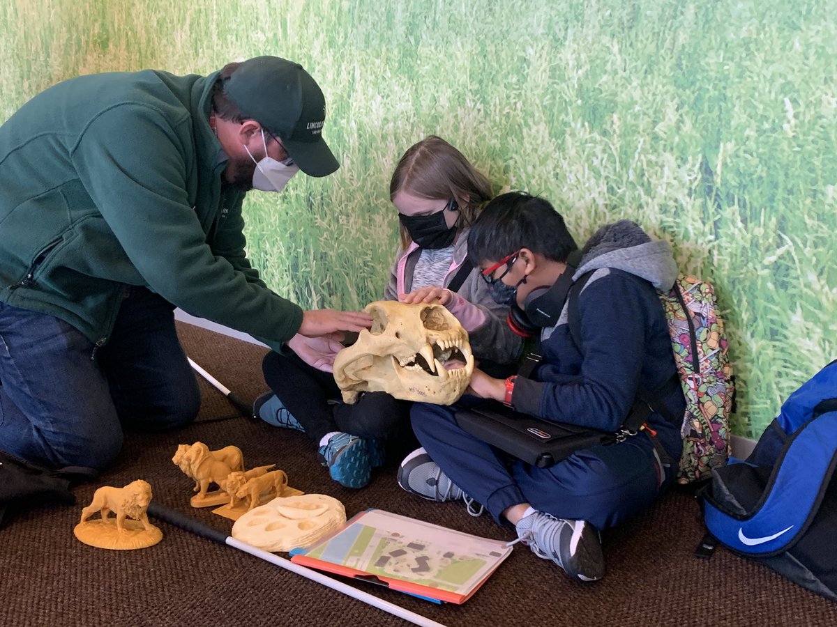 Liz MacNamara tweet media