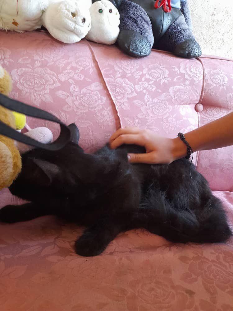 ClauSoto #J11 tweet media