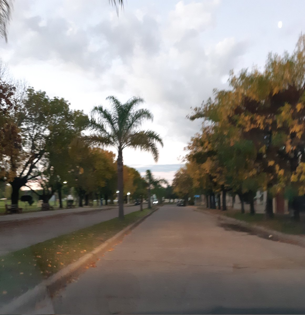 pammpa30's tweet photo. Bello #urdi https://t.co/gbUx4Hz09j