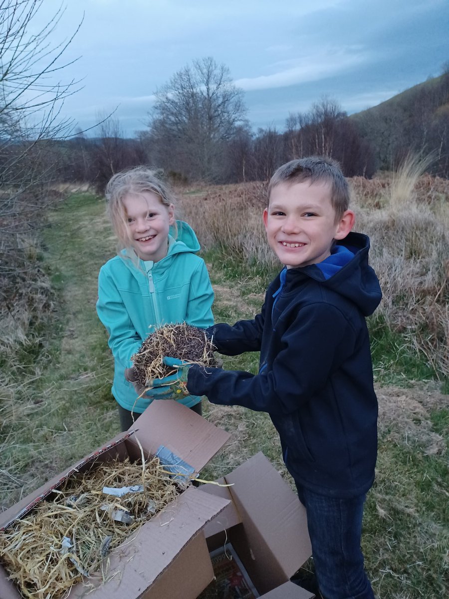 cledanvalley's tweet photo. Cledan is now welcoming hedgehogs from the local shelter! https://t.co/MwkbQxmeqz