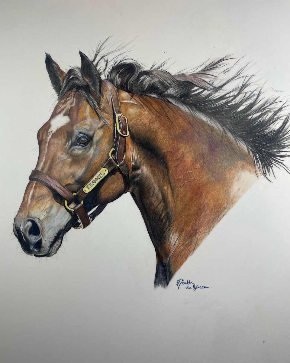 💥FRANKEL💥

<a href="/JuddmonteFarms/">Juddmonte</a>