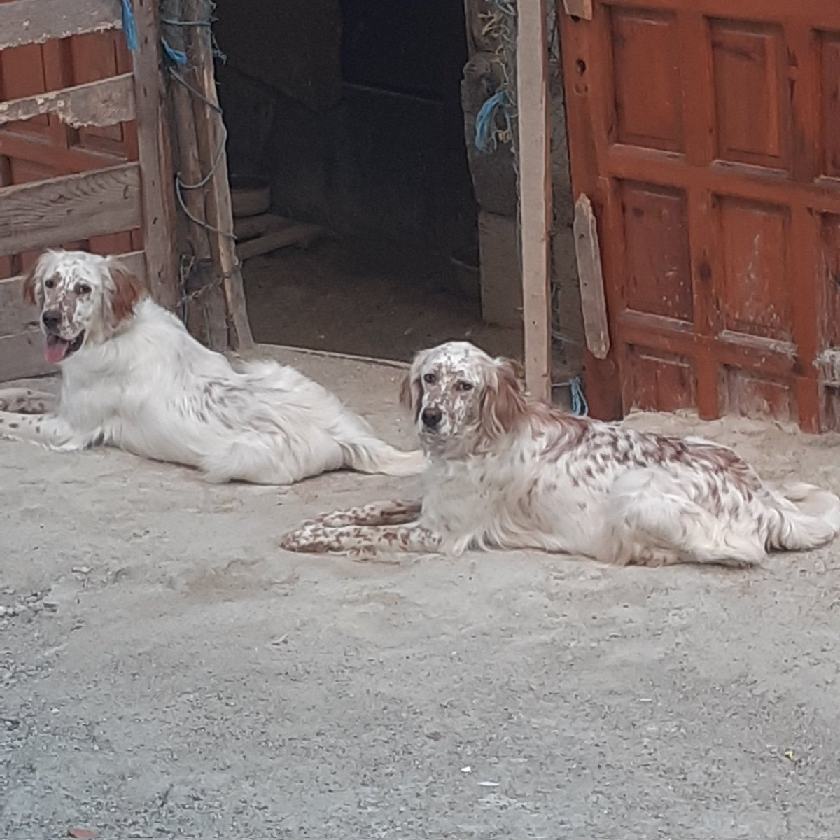 #YeniProfilResmi