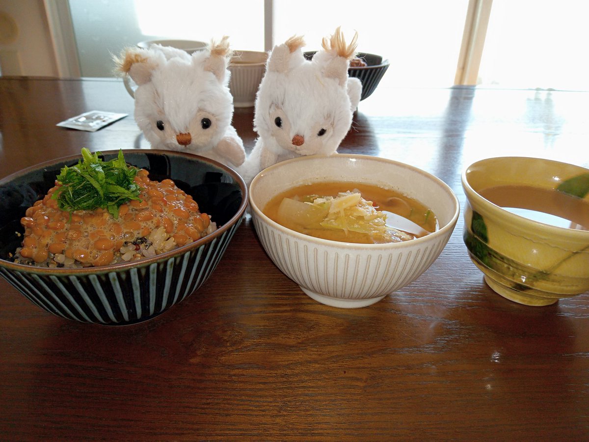 昨日の朝食『納豆丼』 昼食『仲間が大好き鶏ササミ♥』 昨日でアメブロ1周年で仲間の写真を撮影📸 結構体にきますた…。