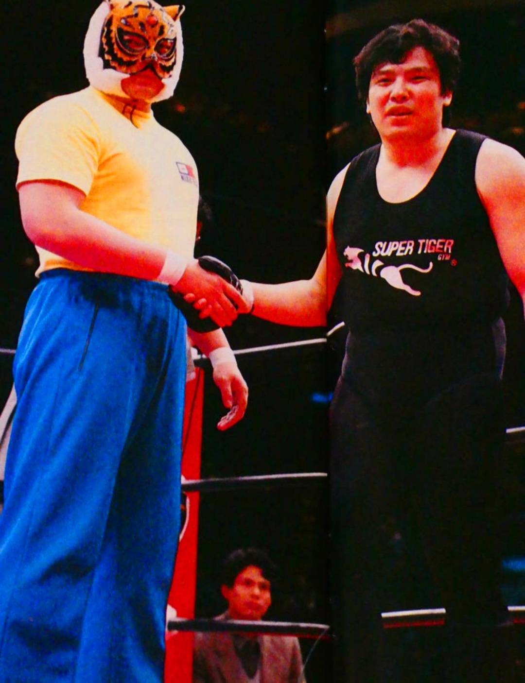 検証　三沢タイガー 初代タイガーマスクvs三沢光晴・2008年12月 過去一度だけ実現