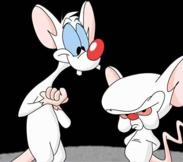 Francis25830521's tweet photo. #LittleBrain https://t.co/gG9nx0UQ4L