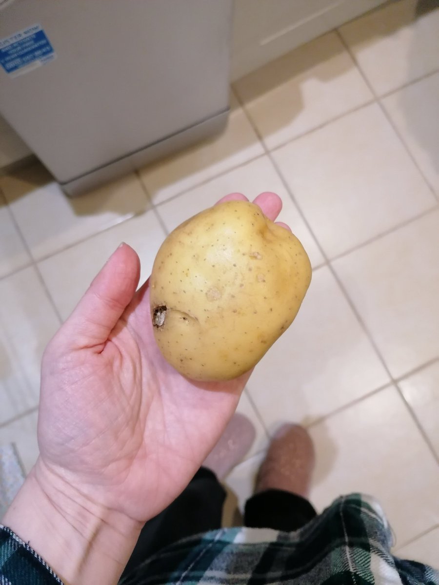 twirliebug's tweet photo. @Tesco in what world is this a jacket potato? https://t.co/3OPkrEafqt