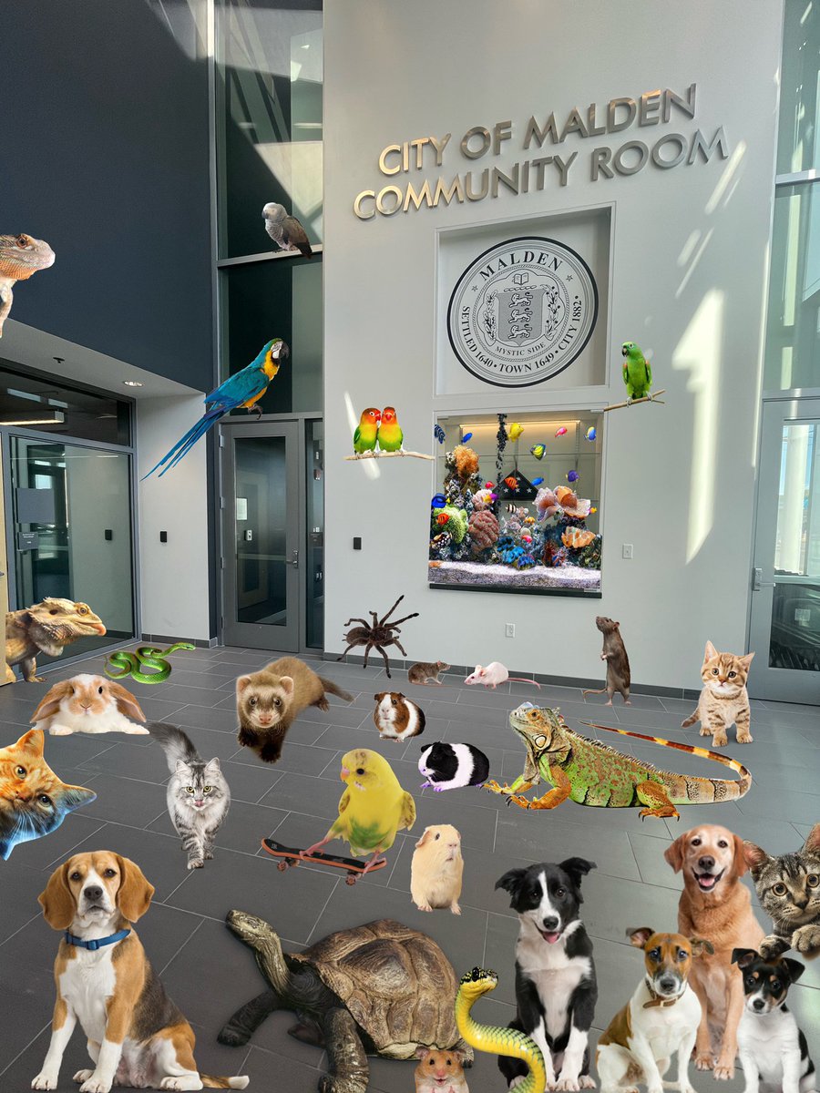MaldenPolice's tweet photo. Chief ,you have a few visitors at the front window, and one more thing..the  aquarium in the lobby is online just in time for #NationalPetDay 🐠 🐱 🐶 @MaldenPDChief #policepets https://t.co/Q46I0Mgcl4