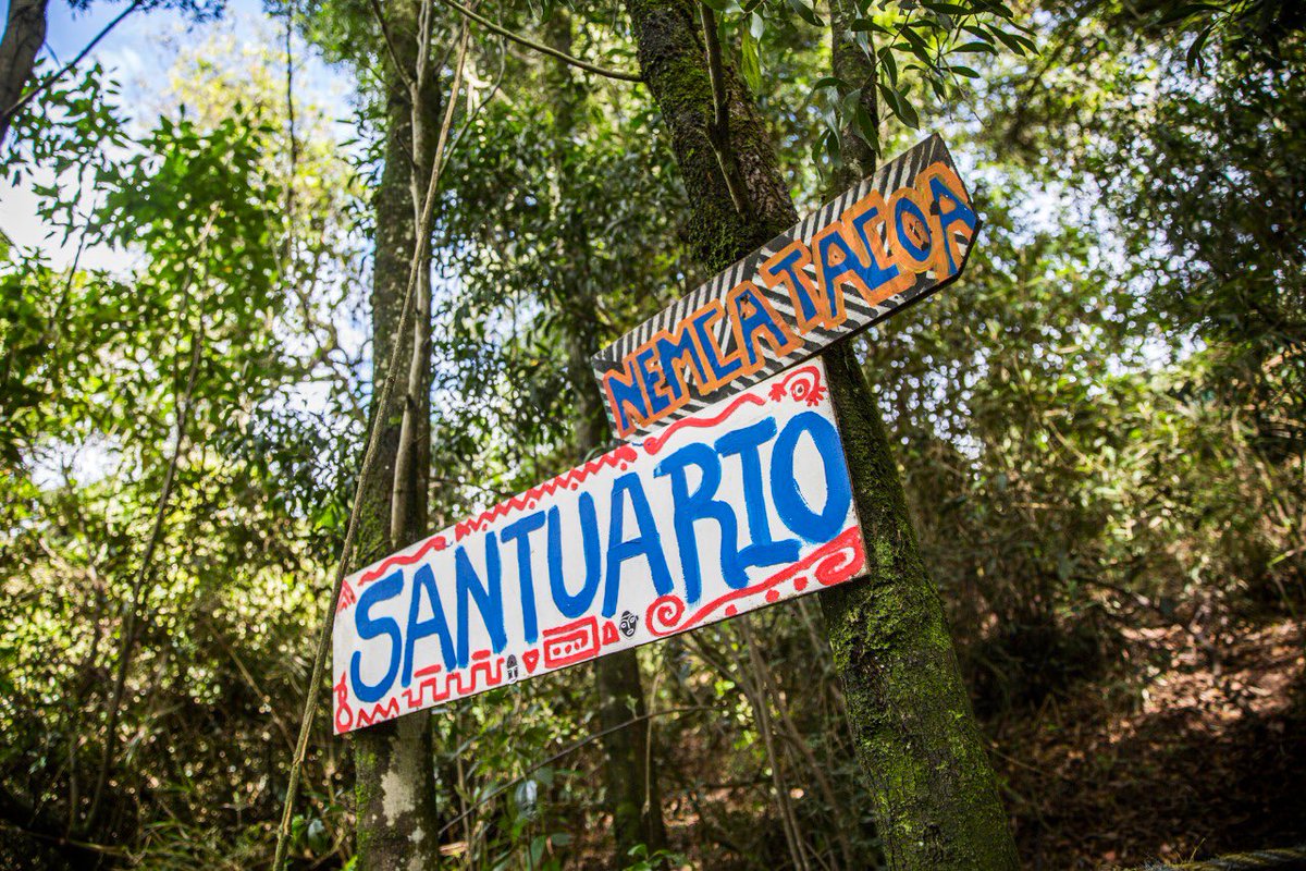 felipeangell's tweet photo. Hoy recorrimos los cerros de Suba y visitamos el Cabildo Muisca, donde nos recibieron y hablamos sobre educación intercultural, protección del medioambiente y preservación de la cultura Muisca.

Crearemos la Dirección de Asuntos Etnicos y sacaremos 4 políticas públicas étnicas. https://t.co/yGmeElxYQD