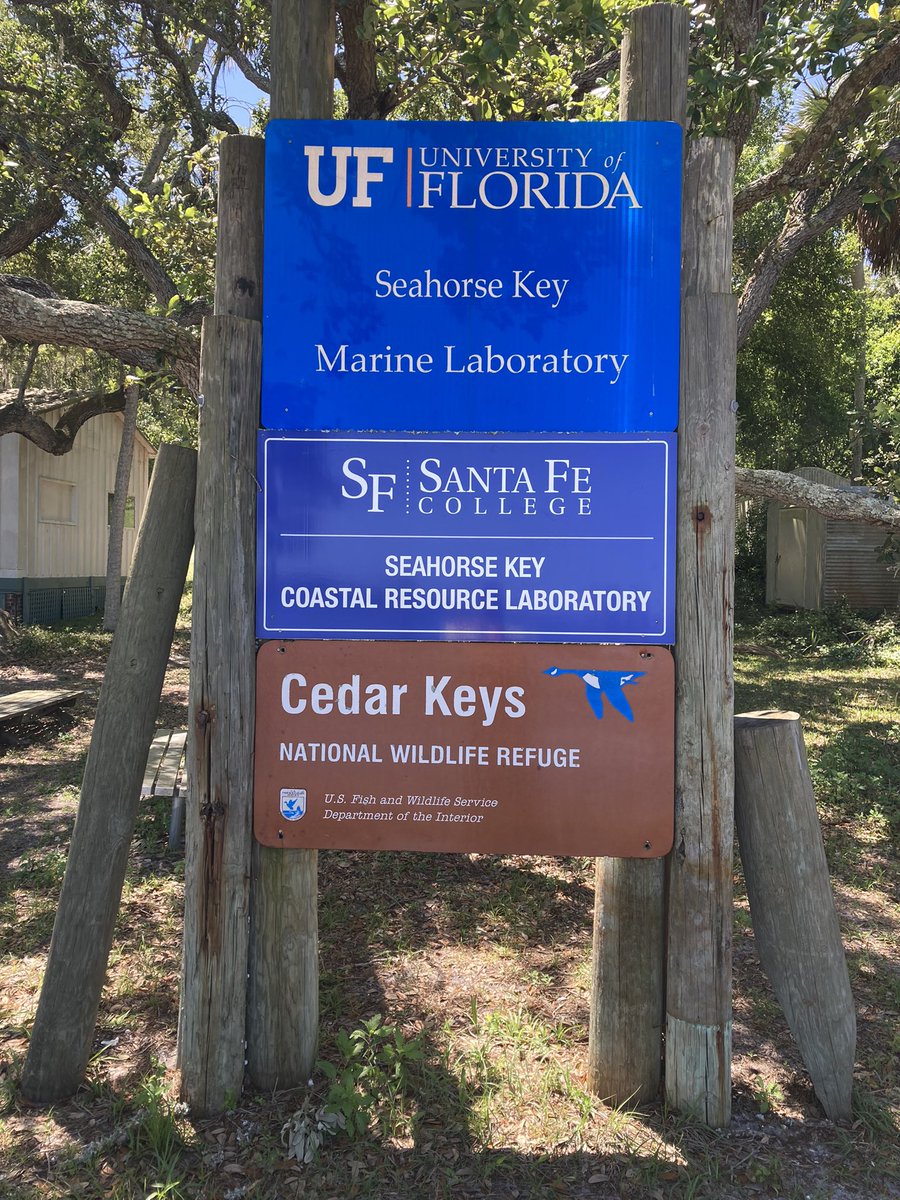 UFgeomorph's tweet photo. More photos from today’s GLY 4734 field trip to SKML! https://t.co/OvlWsuGyRW