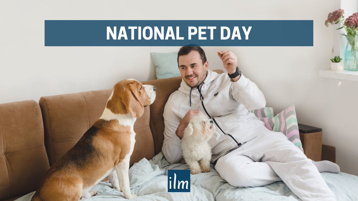 ilmservices's tweet image. What a day to celebrate paws, claws, tails, and feathers. For over 2 years, our team has come to get closer and bond with our pets! Providing them with homes and care is our privilege! ow.ly/6NwM50IH4qs
#nationalpetday #welovedogs #softwaredevelopmentcompan