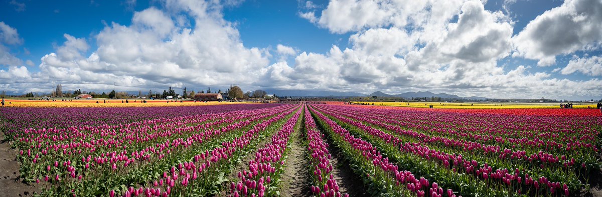 James Gassman II tweet media