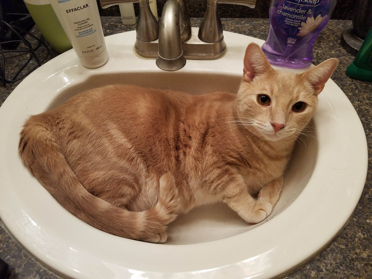 Boss Saga - Play as the JRPG boss to defeat heroes tweet media