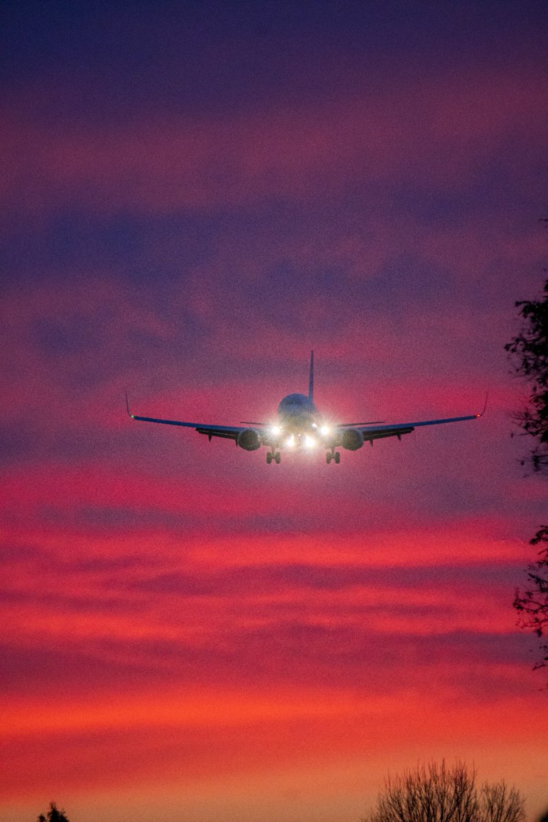 Aerolíneas Argentinas tweet media