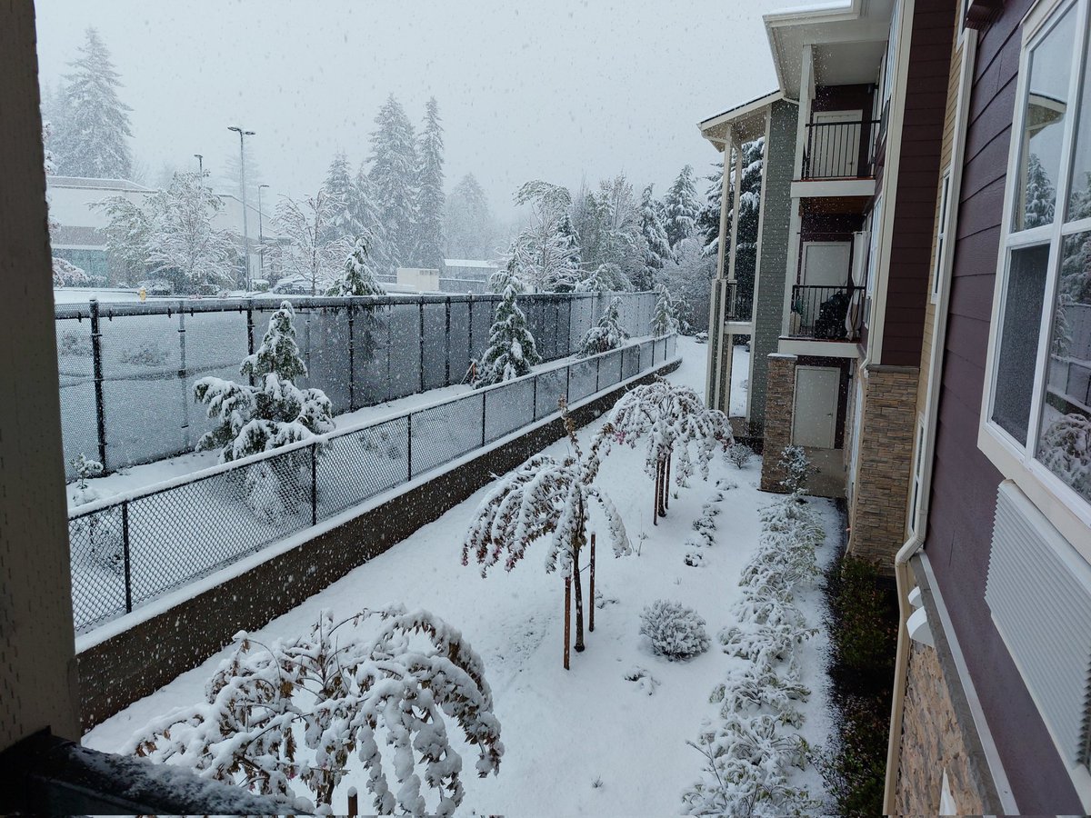 Since moving to Camas, Washington, from Minnesota last May, we've experienced record heat, record drought, record rainfall, and now record snowfall for April. You don't want us to move where you live, we're bad luck!