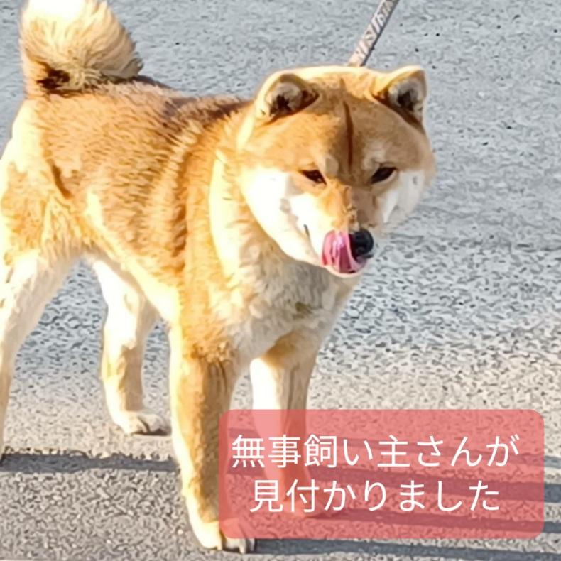 Maya_____k's tweet photo. 昨日から飼い主さんを探していましたが、今朝無事に飼い主さんを見付けることができました。
リツイートして協力してくださった方、本当にありがとうございました🙇‍♀️
飼い主さんにワンちゃんは保健所で保護してもらっていることをお伝えしましたので、近いうちお迎えに行かれます。 https://t.co/a5JrYQHGsB