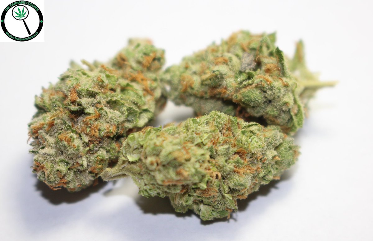 The Cannabis Column tweet media