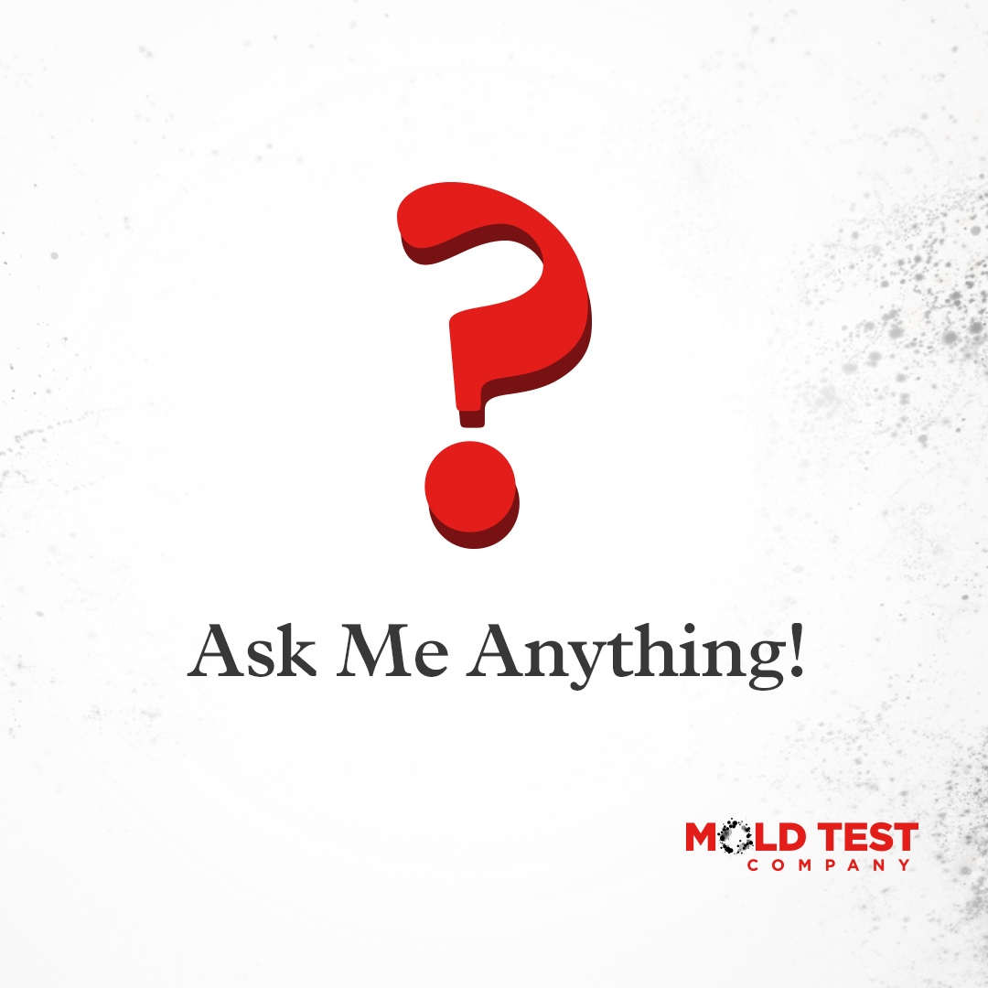 test_mold's tweet photo. Our experts are available to answer any mold-related questions you have! Please leave them in the comments, or send us a private message. 

#moldtestcompany #springcleaning #aprilshowers #toxicmold #diymoldtestkit #visitdawsonville #moldremediation #visitforsyth #thankyou https://t.co/eOHjzRimhQ