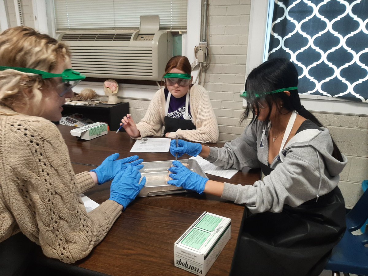 TKASeymour's tweet photo. We can't think of a better way to learn science than with hands-on learning! Ms. Castle's Anatomy/Physiology class is back at it again with dissections. This time, they dissected hearts! It's always fun and exciting on the campus of TKA. #TKALionsTN #Science #Disection #Lab https://t.co/FVPrdYR5S4