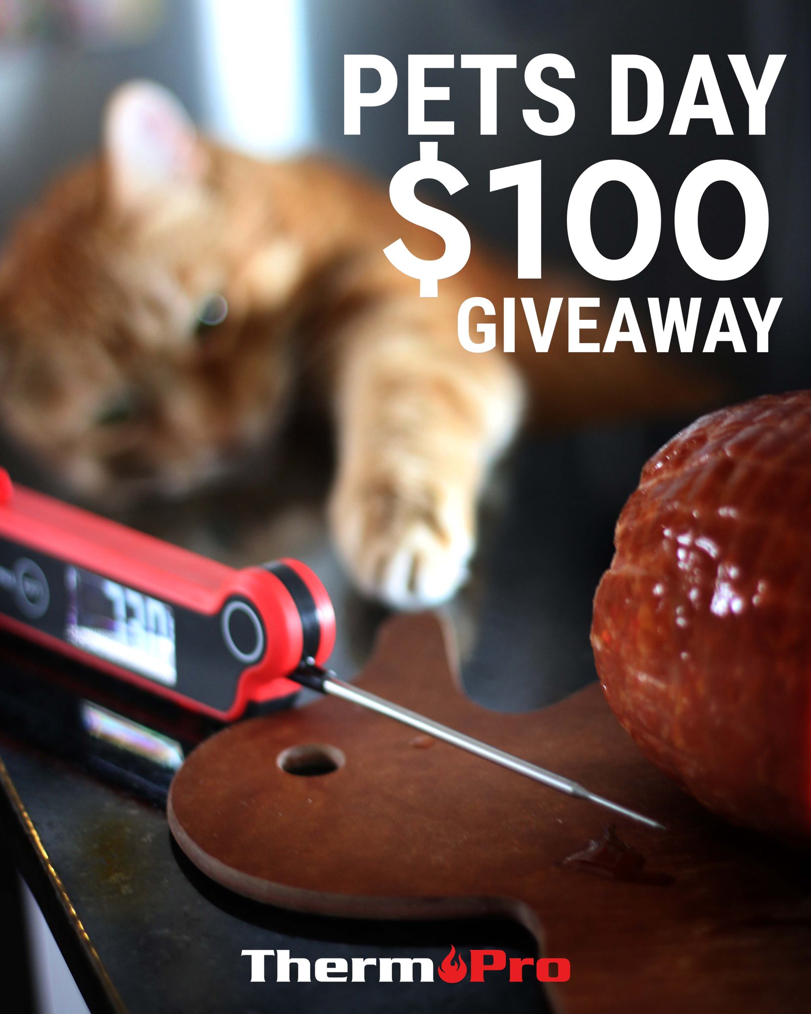 Can You Use Petsmart Gift Cards At Chewy - k2y1jkm
