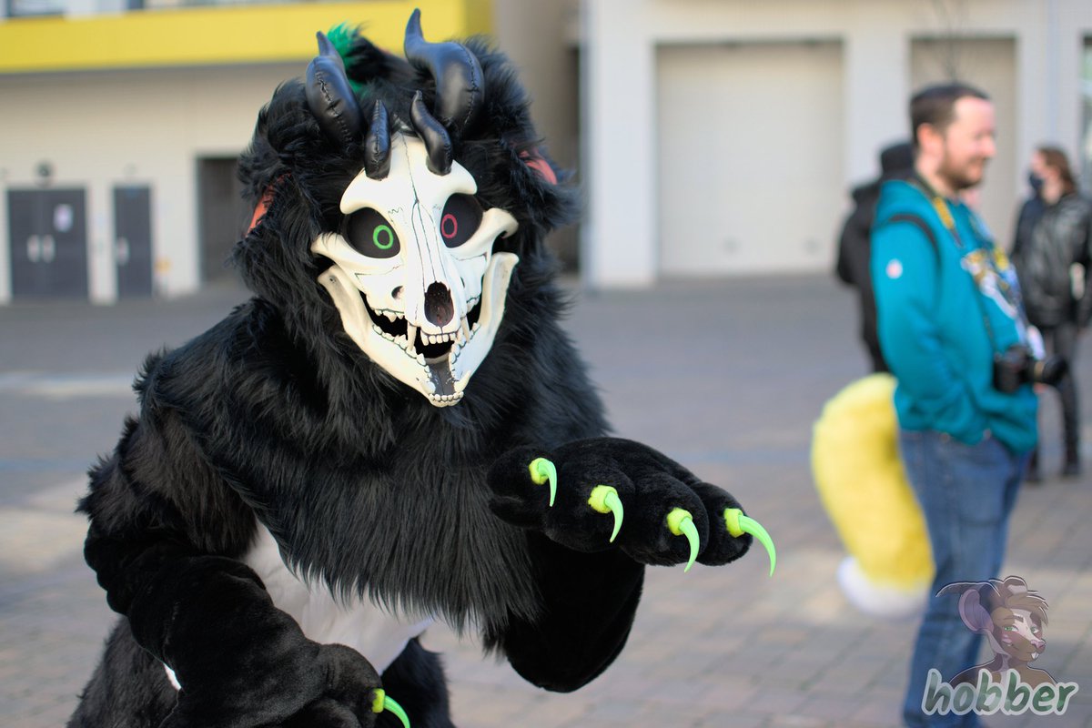 Guard_Mutt's tweet photo. Sorry for spam needed to post these๐
-
๐ @GeekRetreatFurs
๐ธ @_hobber
-
#fursuit #furry #fursona #furryfandom #skulldog #skulldogs #geekretreat #bat #batsonas #skullbat #skullbats #photography https://t.co/vjlb0U1v3m