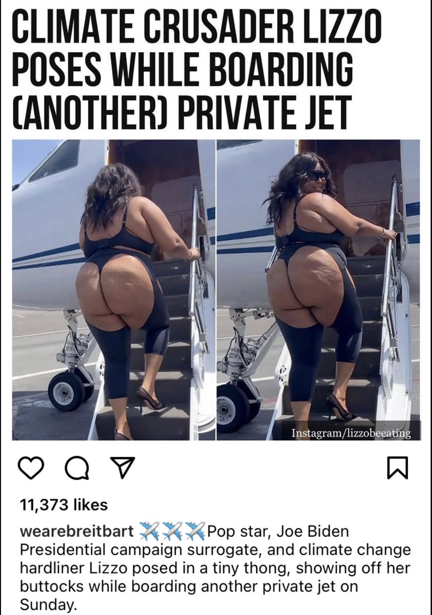 Rita Panahi tweet media