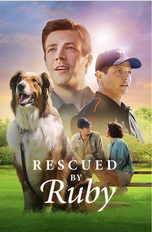 nblackburn01's tweet image. I’m not crying! 😭😭😭😭😭 Yes I am! ADORABLE movie alert! Thanks @netflix @scottwolf @grantgust #rescuedbyruby #RescueDogs #AdoptDontShop #movie #netflixandchill