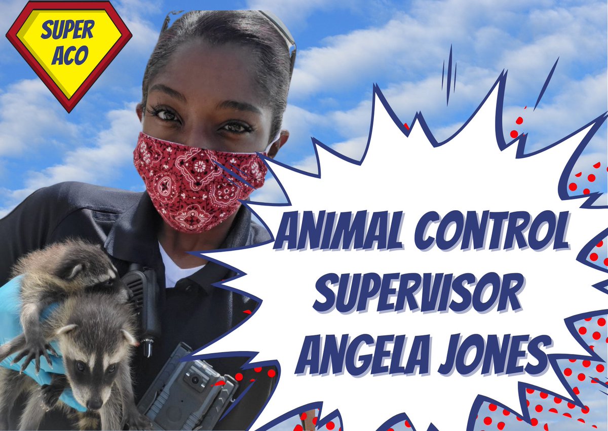 gtownpets's tweet photo. For #AnimalControlAppreciationWeek, meet Ofc Jones - 24 yrs working w/ animals.

Fave calls: Tethered dogs &amp; animal welfare checks

Least fave: Skunks!💨

Her pets: 2 Boxers, 1 cat named Chandler M. Bing, and 5 chickens 

Hobbies in emojis: 🎣🌻🌱🐔🎯🔫📺 (Binge watch 1st 48) https://t.co/dz9kJLLz7A