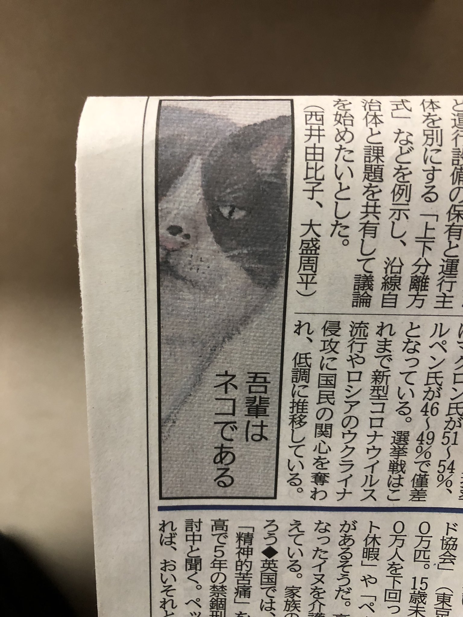 早見和真 Joeulittletokyo Twitter