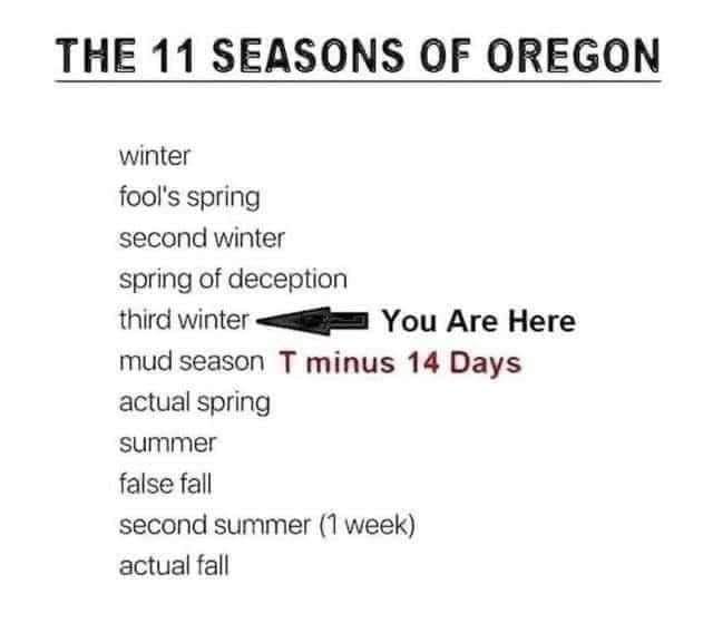 TrueBlazersFan's tweet photo. #OregonSpring https://t.co/BqlledbUpH