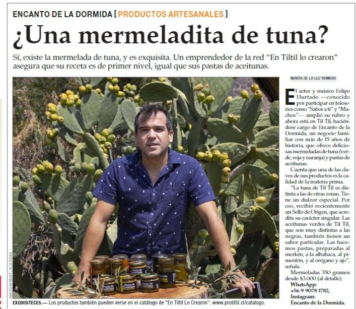 protiltil's tweet photo. ¡Los excelentes productos de los emprendedores y emprendedoras de la red En Tiltil Lo Crearon dan que hablar! Este domingo fue el turno, en El Mercurio, de las mermeladas de tunas y pasta de aceitunas de Encanto de La Dormida.
#tunas #gourmet #titil #cocina https://t.co/G96dPffAeq