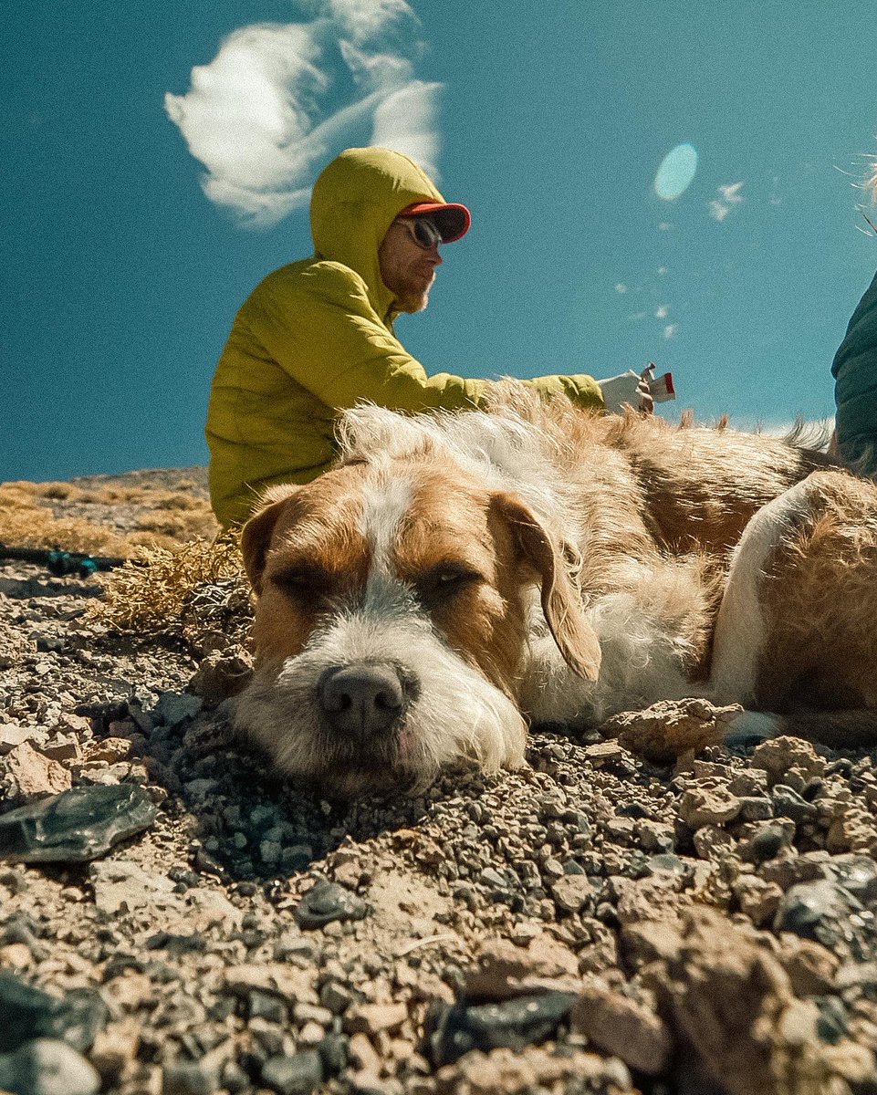 maloogohugo's tweet photo. HUGO SPRING BREAK PART 4: HIKING A GIANT MOUNTAIN
Hiking a mountain has been on my bucket list for a while and I was very happy to be able to climb very big one called Glass Mountain. I was very tired when I got to the top.
#Mammoth #Hiking #Nature #dogsofnature #dogsoftwitter https://t.co/8ArHq6vDiw