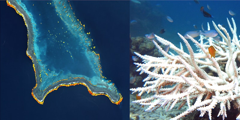 Learn 3 field techniques and become trained to help validate the Atlas satellite-based bleaching system!

When: Wednesday, April 20, 2022 from 6-7:30 PM MST

Sign up today: eventbrite.com/e/help-the-cor…