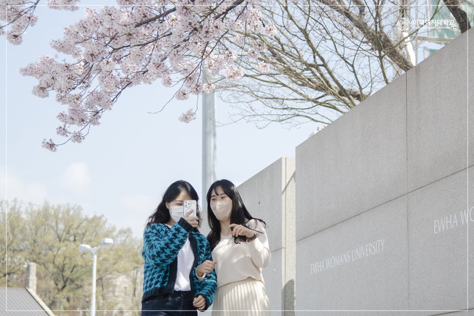 EwhaWomansUniv's tweet photo. [Today’s Ewha Cam] Spring of Ewha campus with cherry blossoms

#CherryBlossom #Popcorn #ColourfulCampus #SpringofEwha #Must_Take_Pictures #SpringSketch #SpringCampus #EWHA #UNIV https://t.co/ZsYaFkTV3u