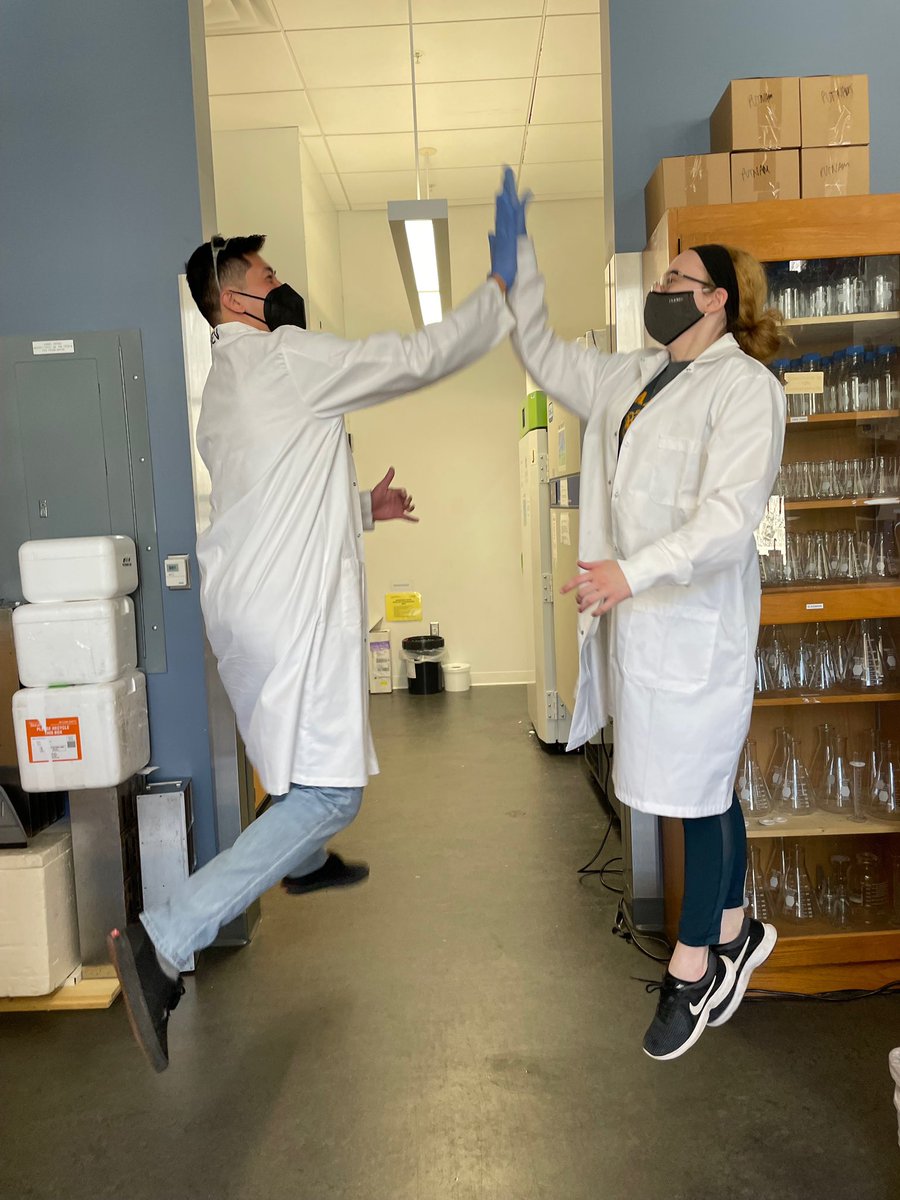 High fives for metabolomics! 🙏🤩 <a href="/kevhwong/">Kevin Wong</a> @Dr_Cnidariana @HolliePutnam
