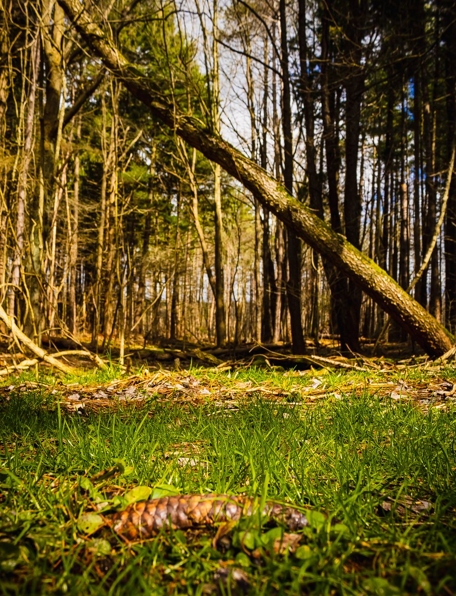 RebelStudios6's tweet photo. Some more visual treats! The new additions to my little collection.
#photography #canonphotography #NaturePhotography #perspective #artistsontwitter #art #cameradude https://t.co/VWzs2RTIOR