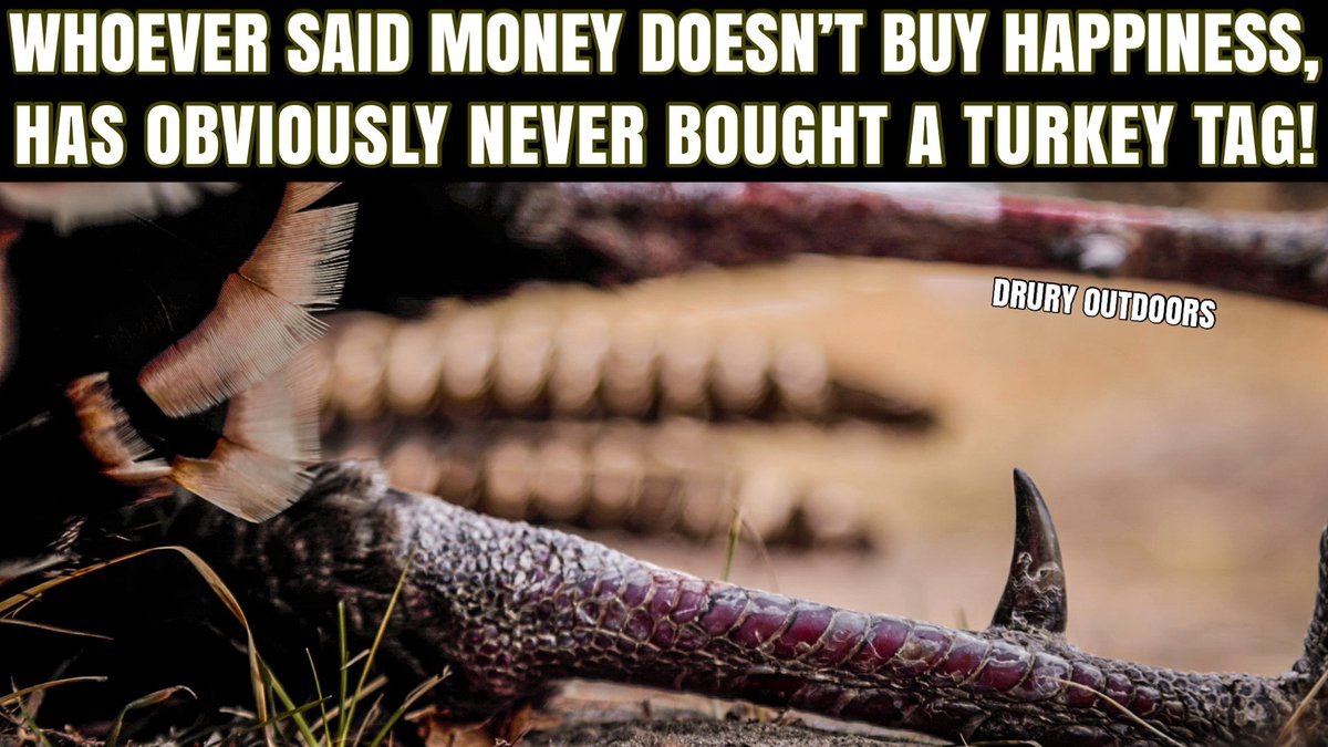 RT if you agree 💸 #iloveturkeys