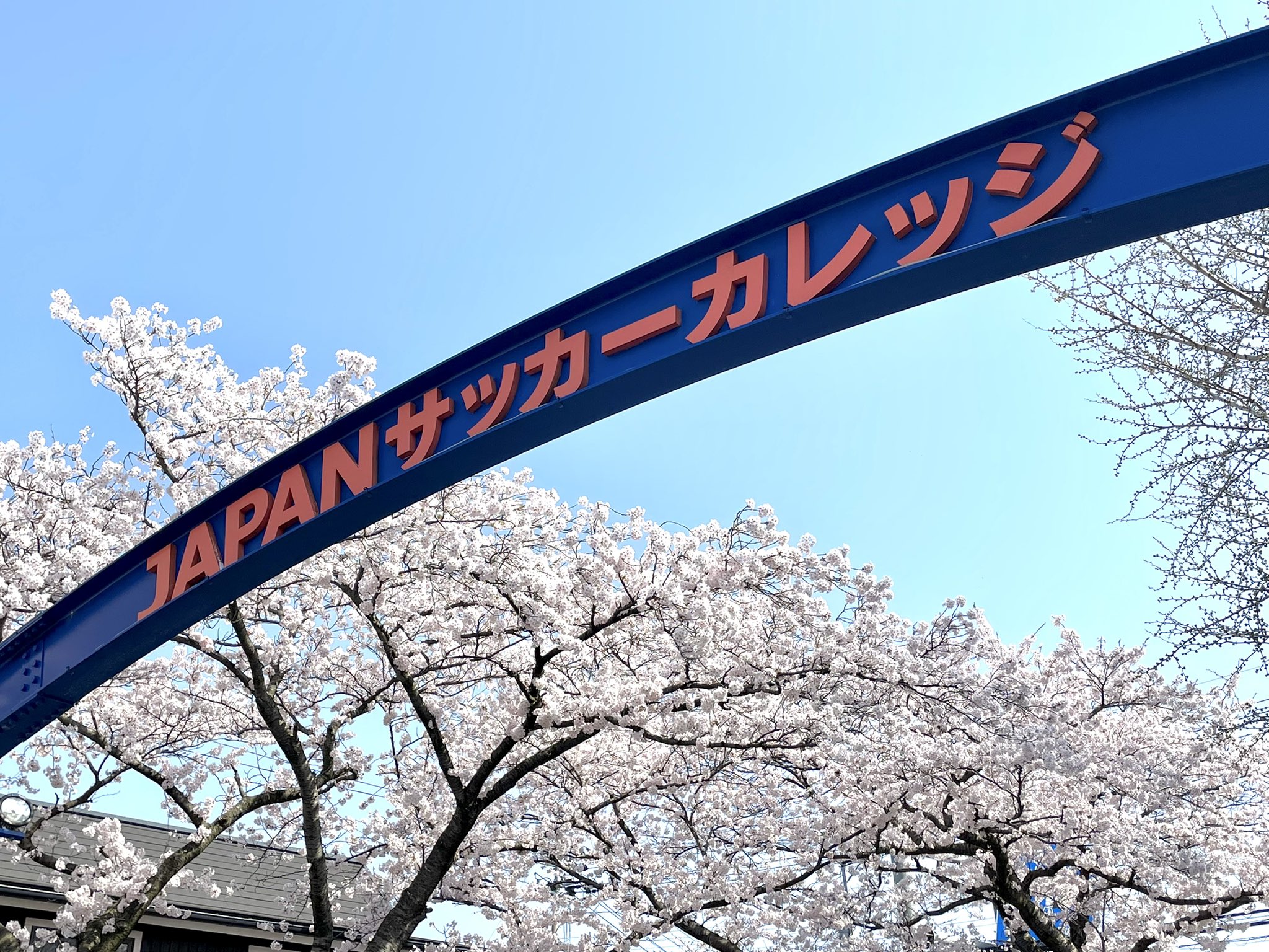 Japanサッカーカレッジ Jsc Japan Soccer C Twitter