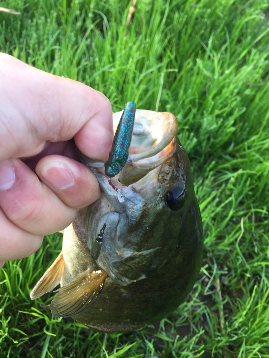 サカナサカナDS
サカナの後ろにまたサカナって言う意味だろうが…「まえだまえだ」とか「ますだおかだ」とかしか連想できない🤗

このサイズ感のリーチ系は他にないし貴重でしょ。
釣れるねぇ…すごい脆いけど🥴