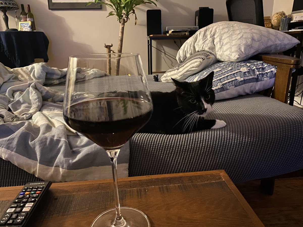 a1steaksauce97's tweet photo. I love cat sitting 🍷 https://t.co/ydyRjDcxbg