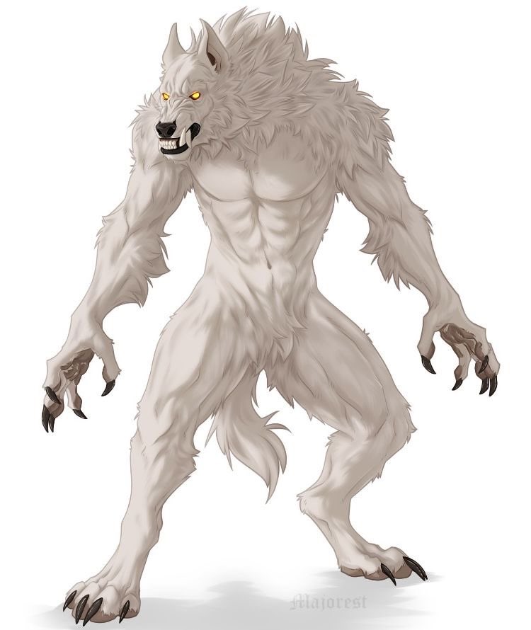 NameMeJacob's tweet image. ✎ [ Mm . White werewolf too ?? 🤔🤔 ]