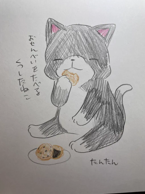 おせんべいを食べるくつしたねこ#イラスト #猫 