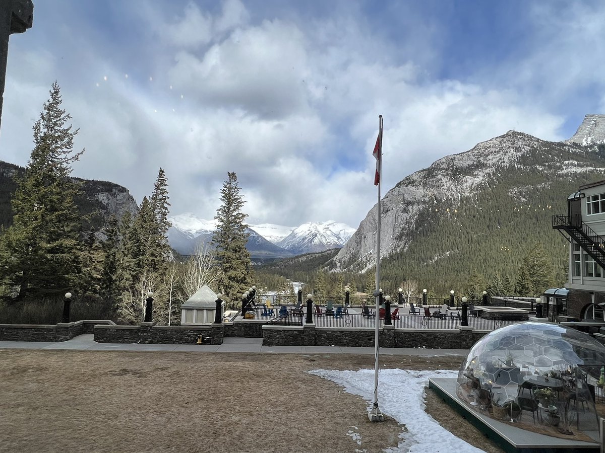 Rolanda Eadie tweet media