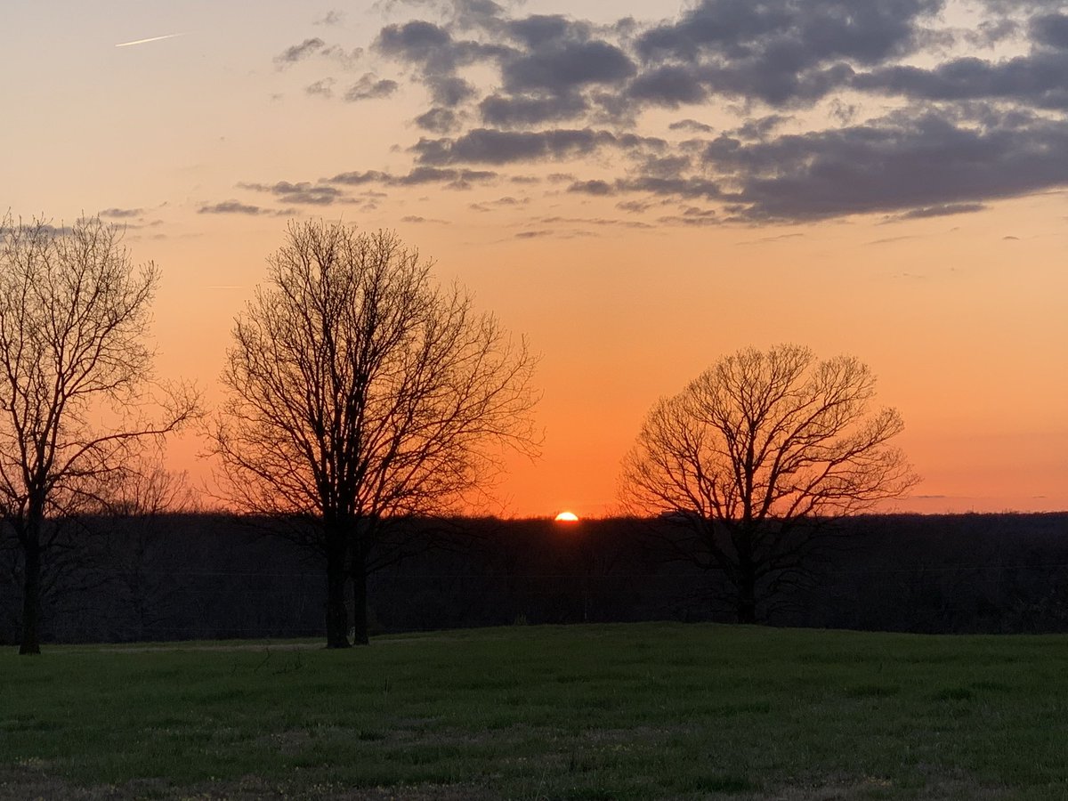 RareCamellia's tweet photo. “In the presence of nature, a wild delight runs through the man, in spite of real sorrows. Nature says, - he is my creature, and maugre all his impertinent griefs, he shall be glad with me.”
~ Ralph Waldo Emerson
#FortheBeautyoftheEarth #MissouriSunset https://t.co/naSiUbrHaA