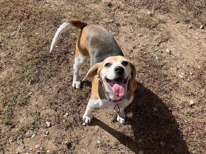 My sweet baby is all grown up! Today is her 9th birthday and I think she deserves to be worshiped too<a href="/tag/mvsales"class="tags"><span>#mvsales</span></a>