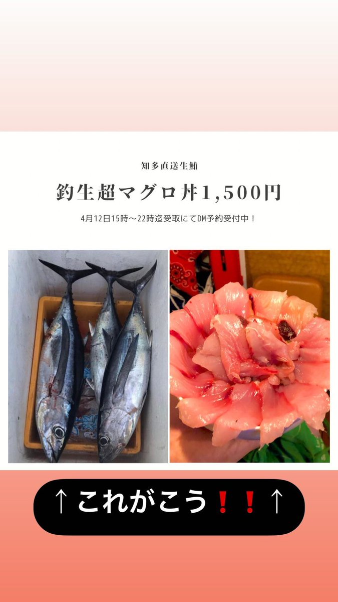 barkabutomushi's tweet photo. https://t.co/tTHkJ8ctwX