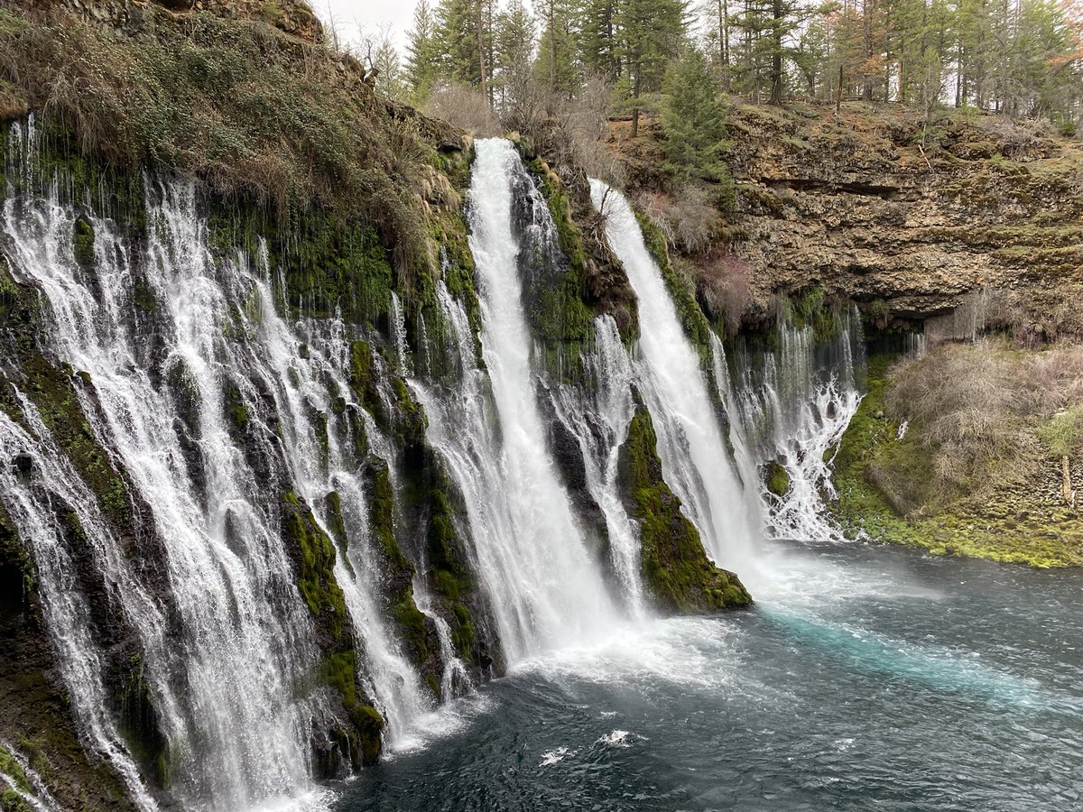 Gina Baer tweet media